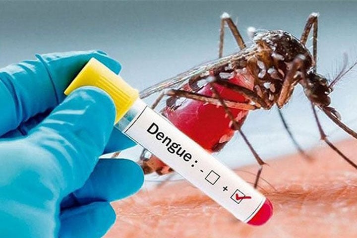 Seven dengue patients die, 1,139 hospitalized in last 24 hrs