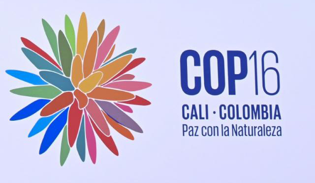 COP16 president hopeful of 'major announcements' soon