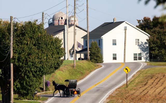 Loud US election barges into quiet Amish country