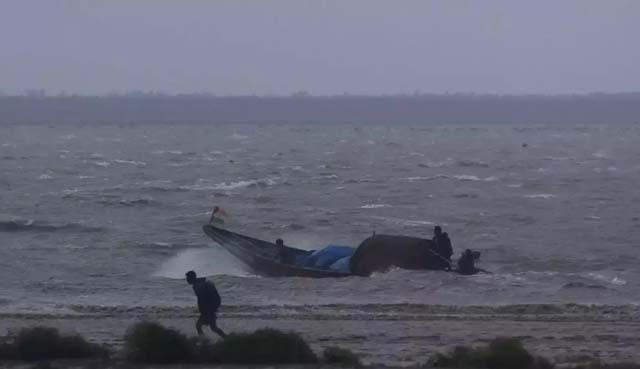 Trees and power lines flattened as Cyclone Dana hits India