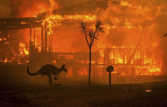 Raging bushfires in Australia destroy home and livestock