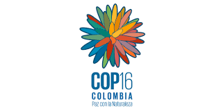 COP16 biovidersity talks to restart in February: UN