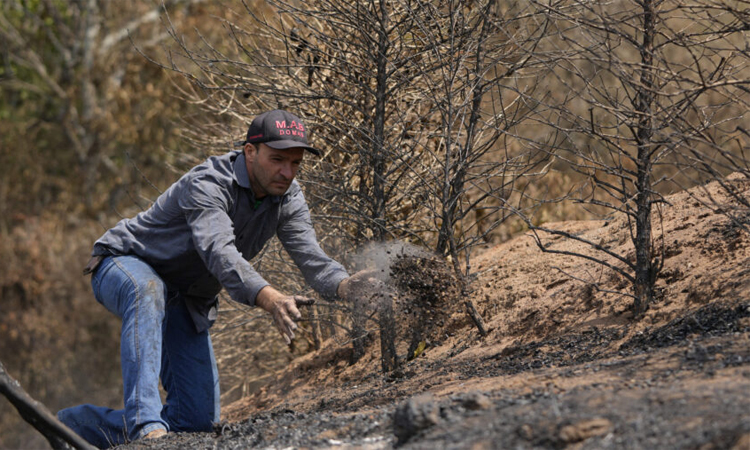 Brazil drought lights a fire under global coffee prices