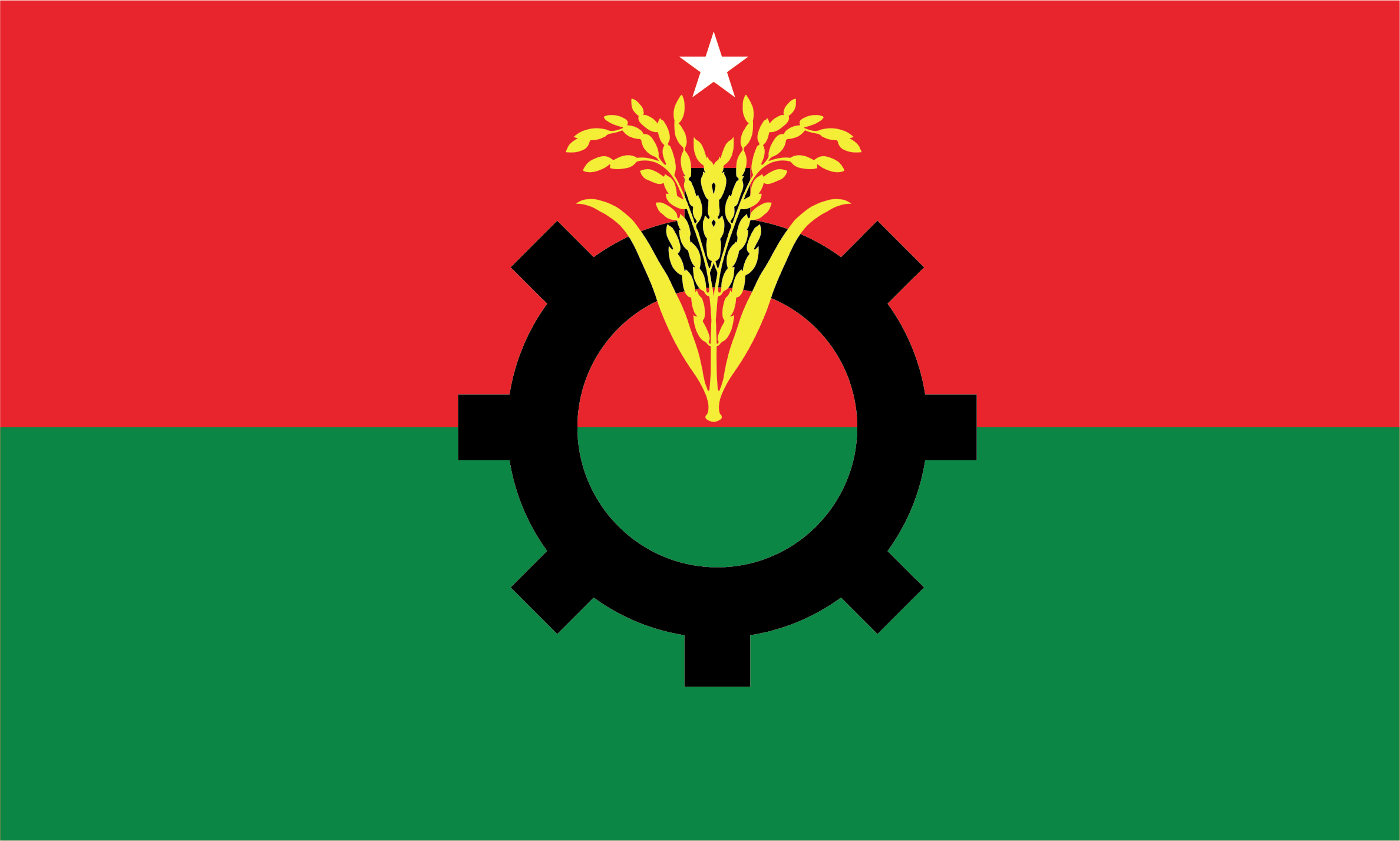 BNP forms convening committees for eight districts