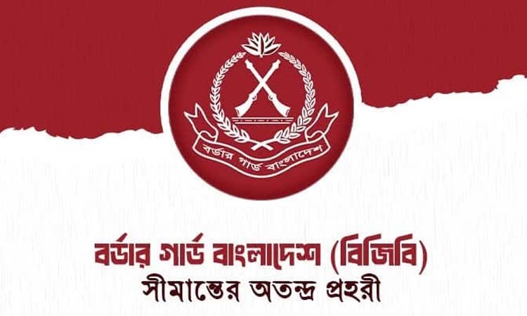 BGB seizes smuggled tablets, detains one in Chuadanga
