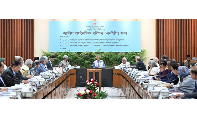 NEC approves TK 2,16,000 cr RADP for FY25