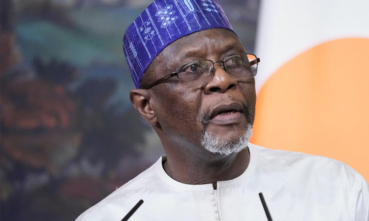 Nigeria, Niger foreign ministers meet for security talks