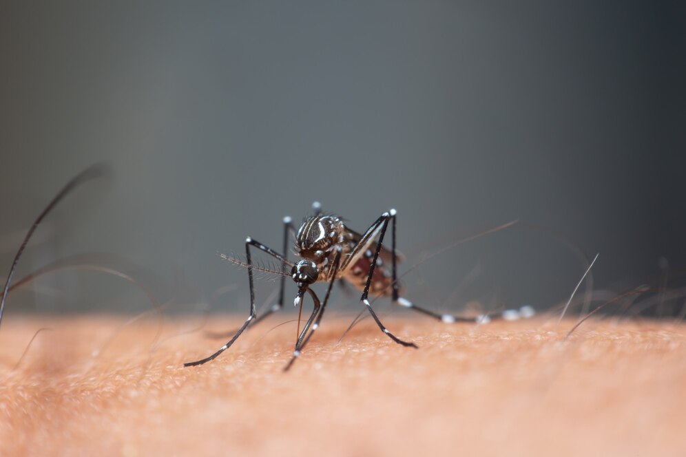 Army to extend hand in DNCC’s anti-mosquito campaign