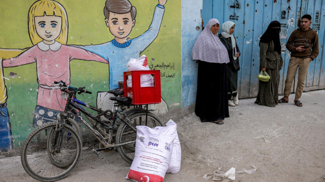 UN appoints envoy to assess aid for Palestinians