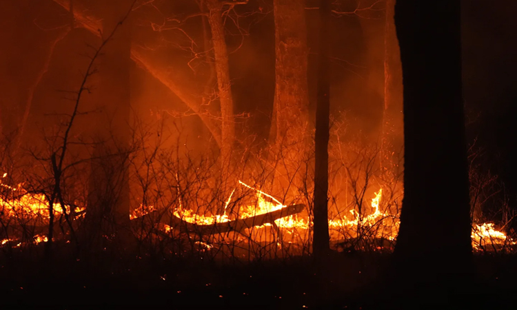 Thousands evacuate as fire spreads in US state of New Jersey