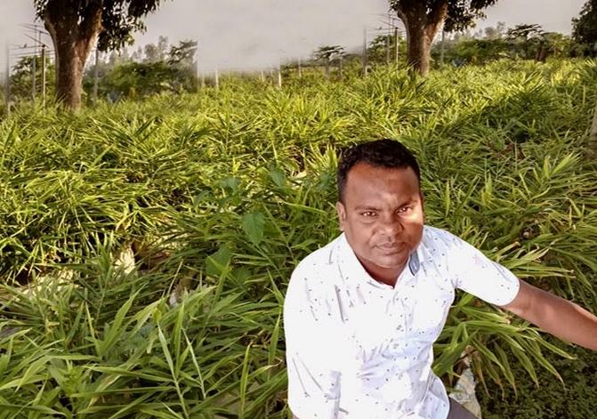 Bokul of Rangpur shows way to cultivate ginger in sacks