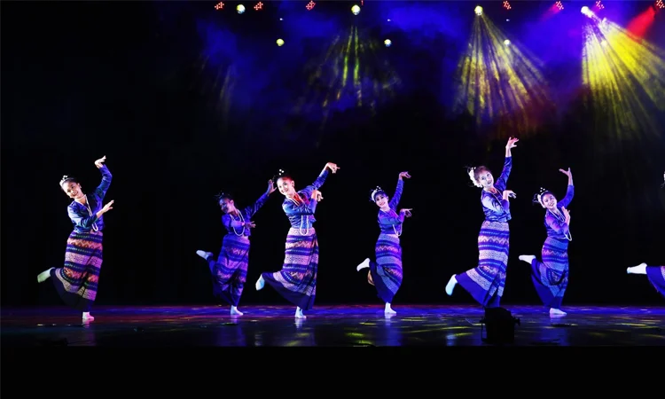 Shilpakala Academy's dance festival ended in city