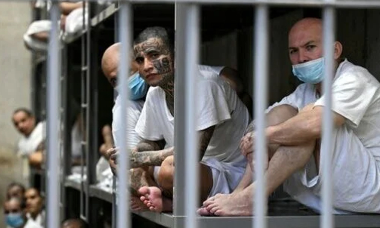 UN experts slam US move to 'deny due process' to migrants deported to El Salvador