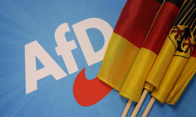 German intelligence designates AfD as right-wing extremist group