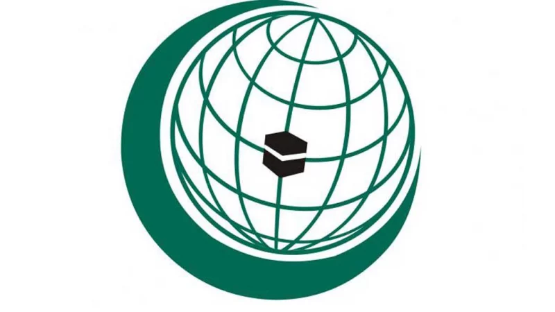 OIC condemns Israeli aggression against Syrian territory 