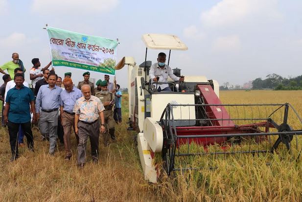 BAU to supply 200 tonnes of paddy seed across country