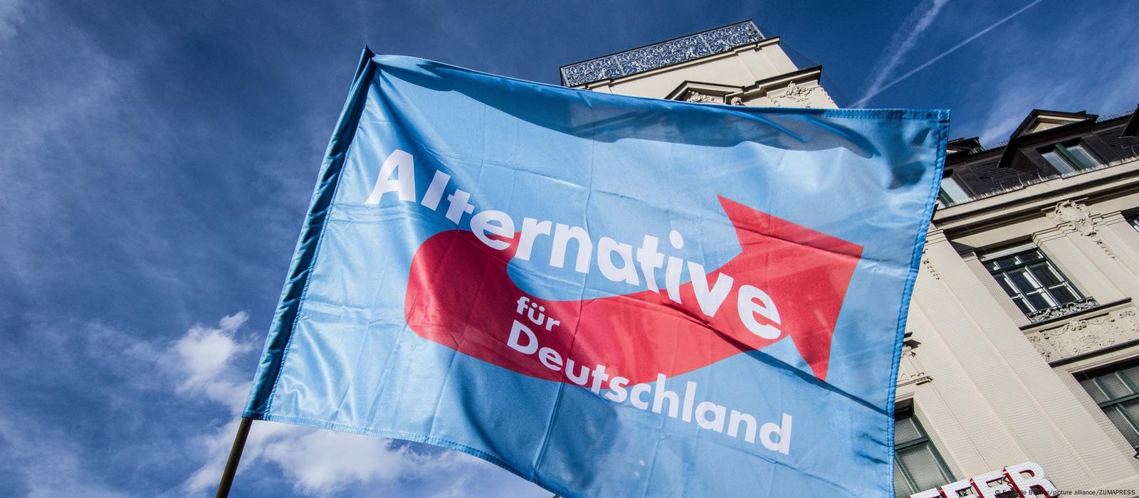 AfD sues German intelligence agency over 'extremist' label