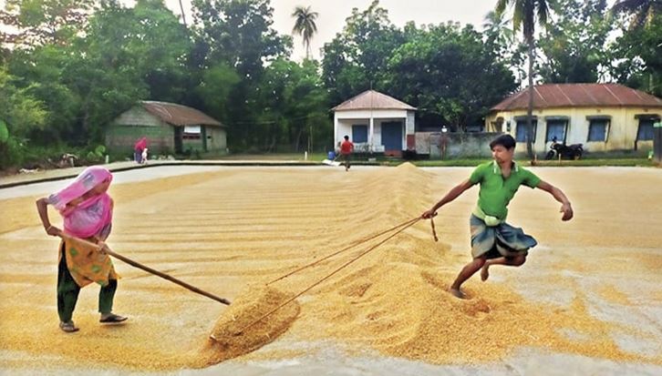 61 rice mill licenses cancelled in Rajshahi division