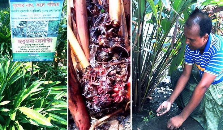 Cardamom farming changes Rezaul’s fate, inspires community in Kurigram