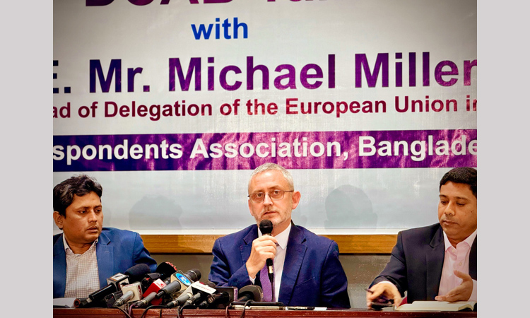 Election timing a domestic issue, key reforms required: EU envoy