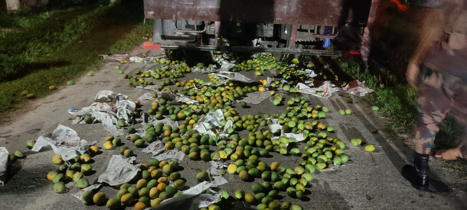 BGB seizes 3,750 kgs of chemical-tainted mangoes in Satkhira