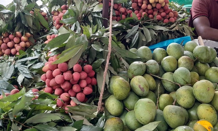 Mango, litchi start appearing in Khulna markets
