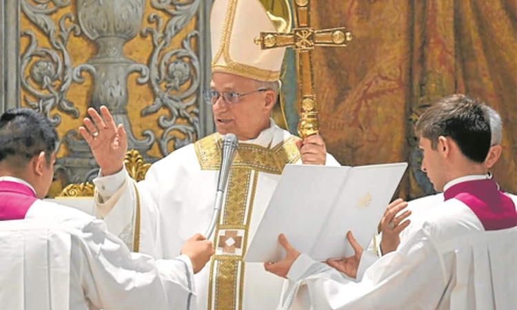 Swedish cardinal hails Pope Leo, takes dig at Trump