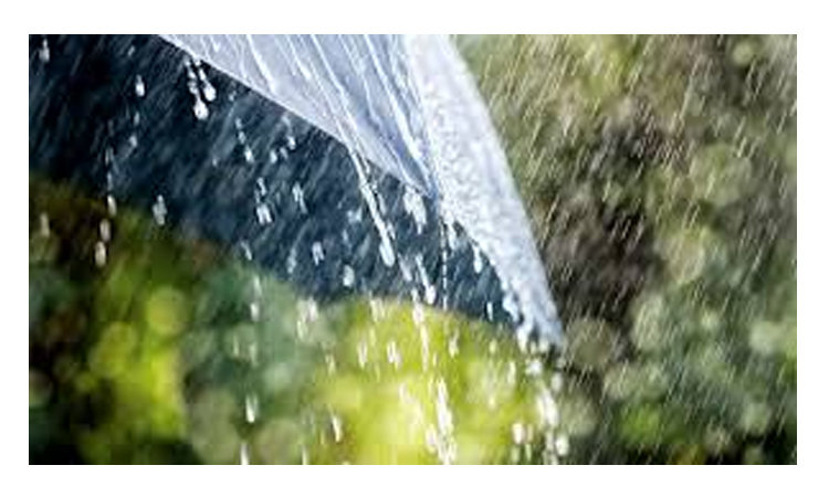 Rain, thundershowers likely in parts of country