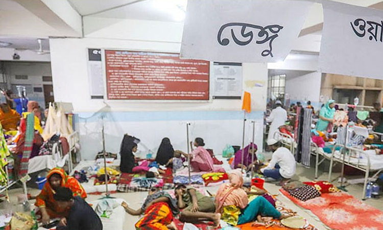 14 dengue patients hospitalised in 24hrs