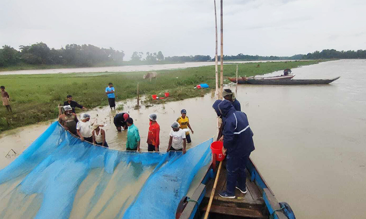 BFRI identifies new carp breeding ground in Kaptai Lake
