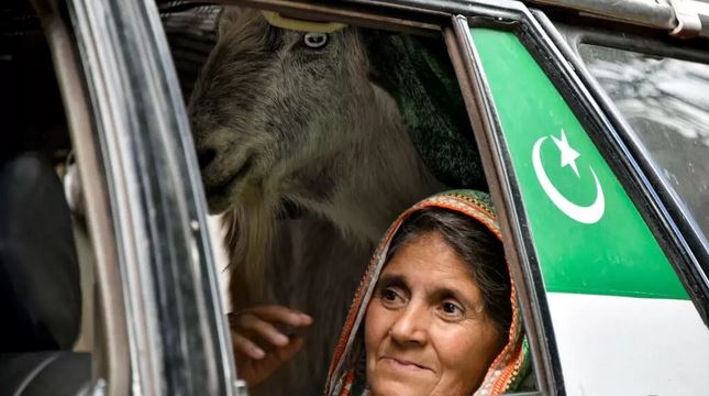 Pakistan's Kashmiris return to homes, but keep bunkers stocked