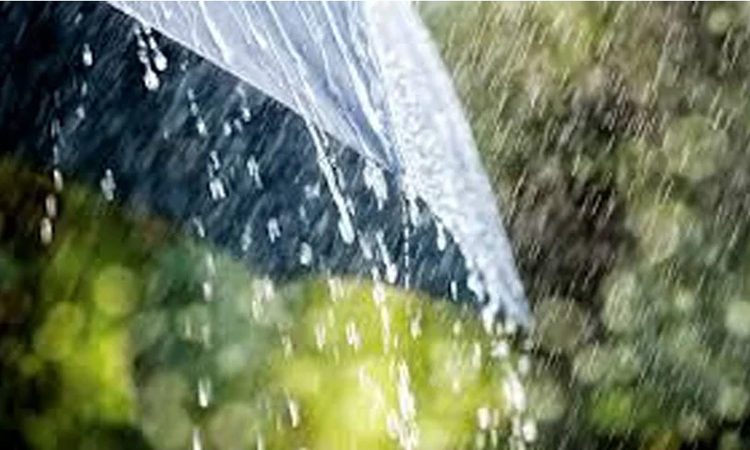 Rain, thundershowers likely in parts of country