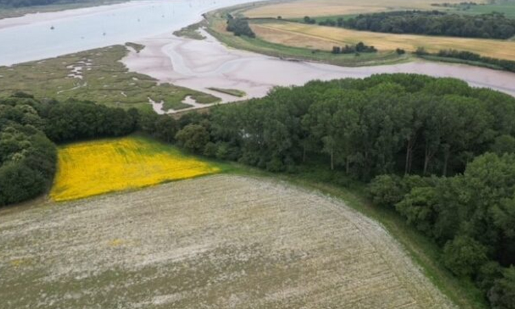 UK towns harness nature to combat rising flood risk