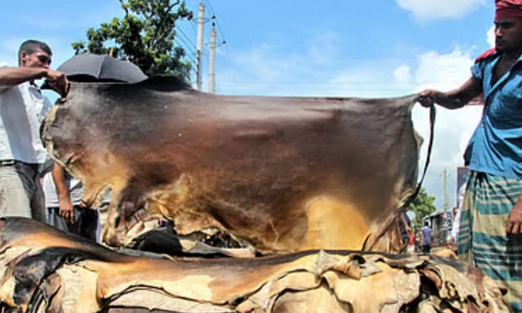 Khulna DoL completes training on safe skinning, meat preservation