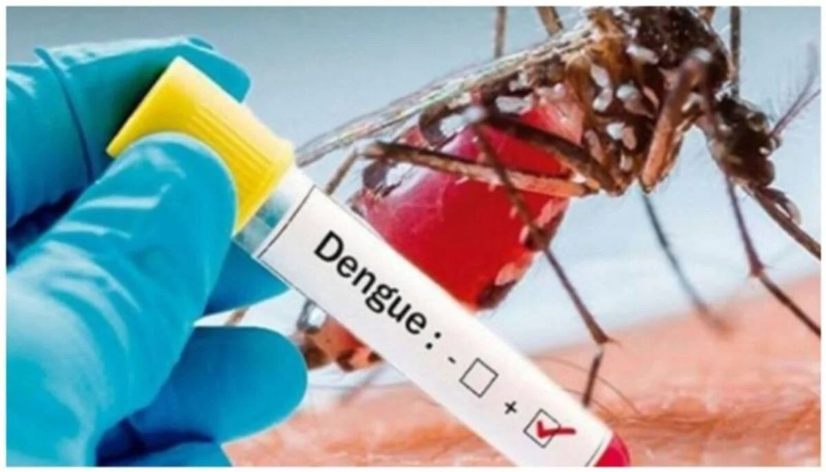 48 dengue patients hospitalized in 24hrs
