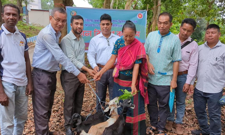 Goats distributed among fishermen in Rangamati
