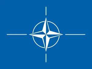 US says new NATO spending target won't just be 'missiles and tanks'