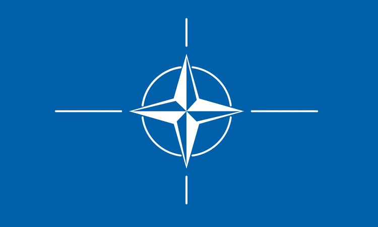 US says new NATO spending target won't just be 'missiles and tanks'