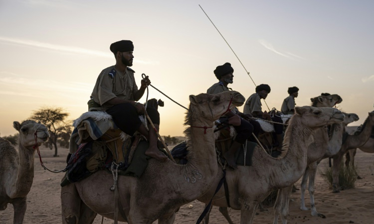 On patrol for jihadists with Mauritania's camel cavalry
