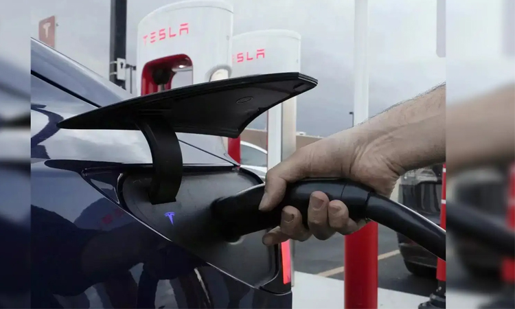 EV sales to continue growing despite trade uncertainty: IEA