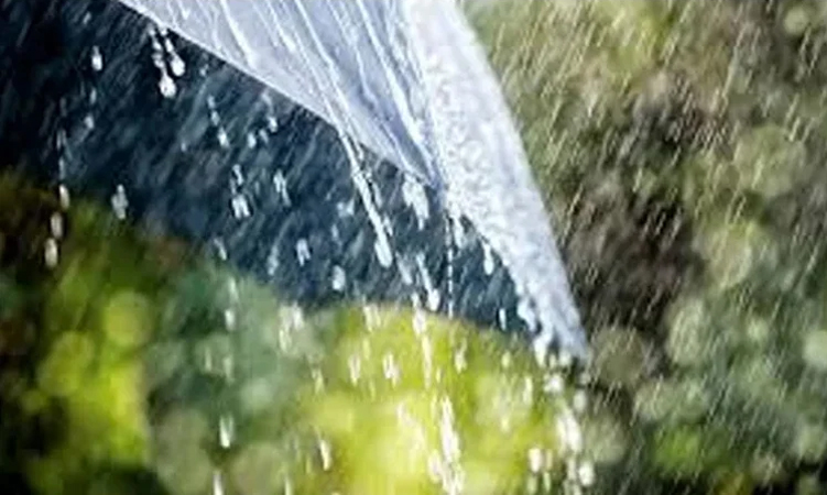 Rain, thundershowers likely in parts of country