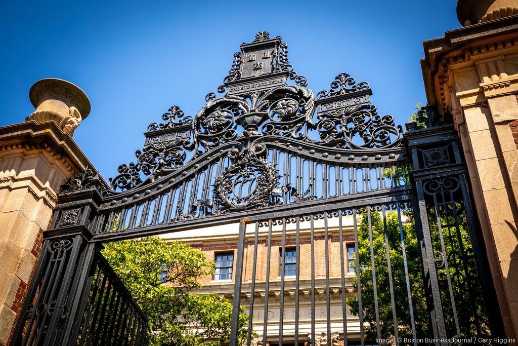 Harvard ploughs $250m into research after US govt cuts