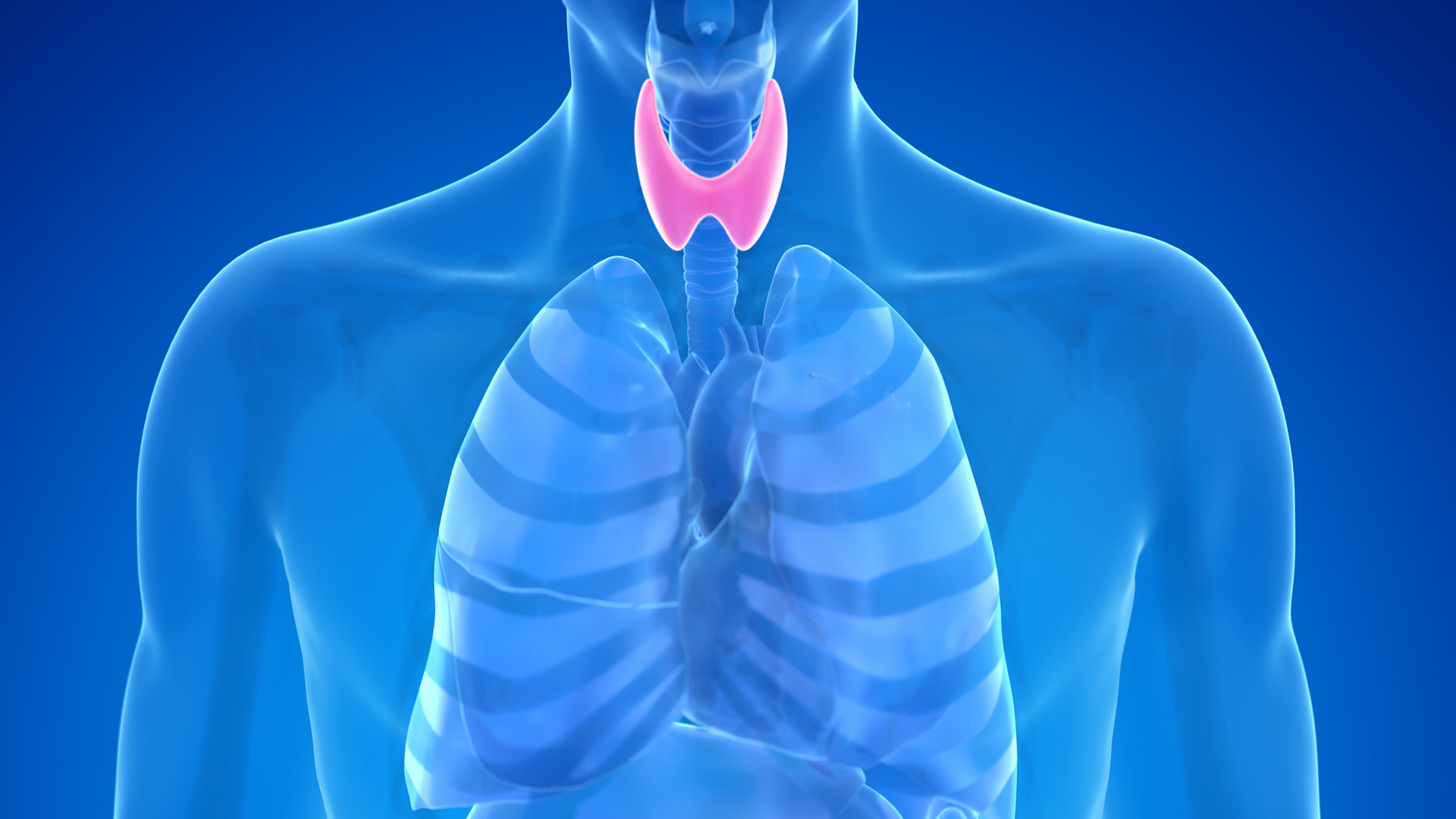 16th Thyroid Conference in city tomorrow