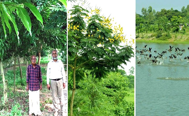Bharardaho Beel becomes shining example of ecosystem revival