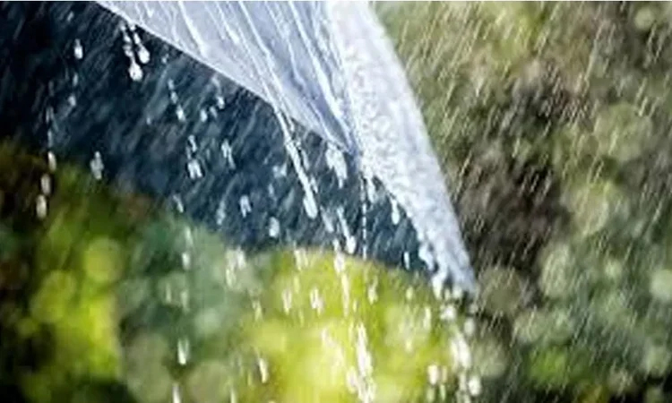 Light to moderate rain likely over country