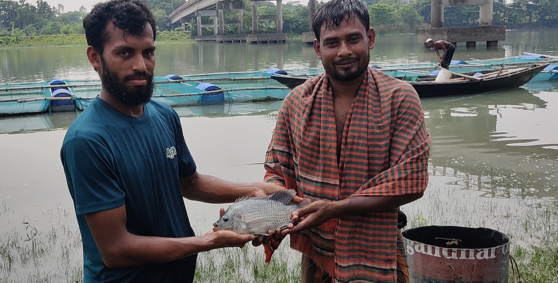 Fish farming in cage gaining popularity in Bhola 