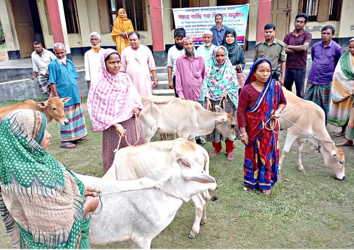 Govt distributes 102 cows among small ethnic groups in Dinajpur 