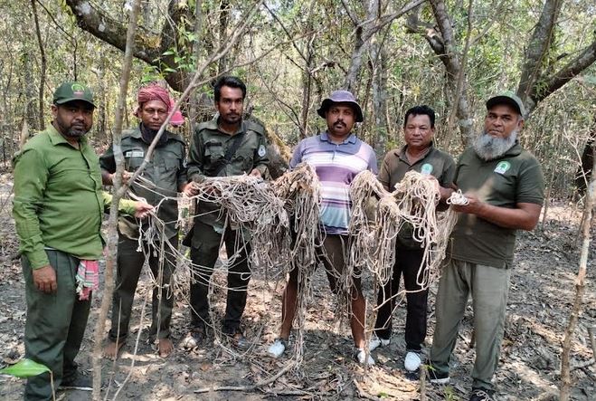 Combing operation launched in Sundarbans to tackle deer poaching, smuggling