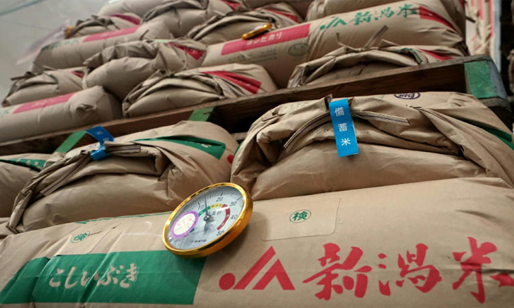 Japan PM hits out at farm minister over free rice claim