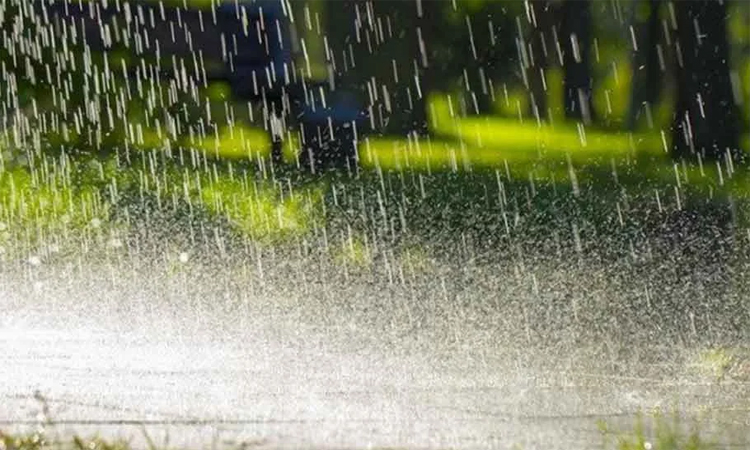Met office forecasts light to moderate rain in parts of country 